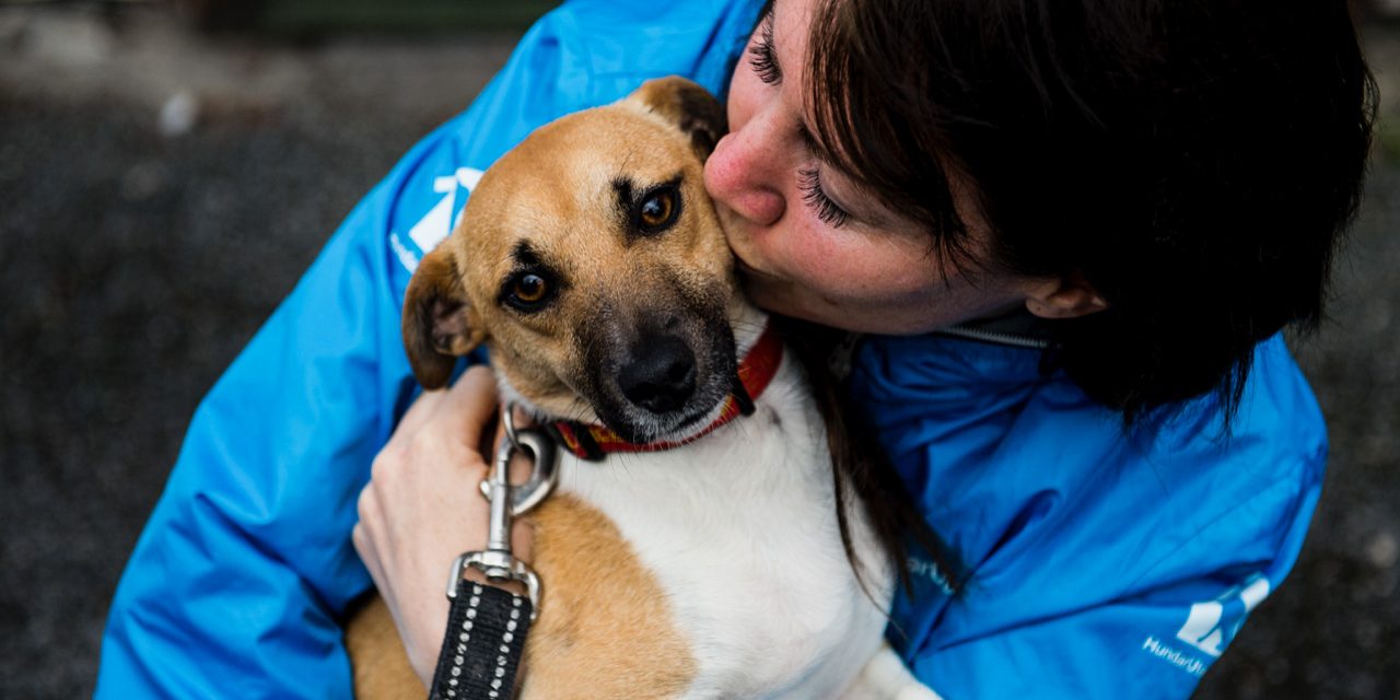 Hundis – kundcase_72dpi