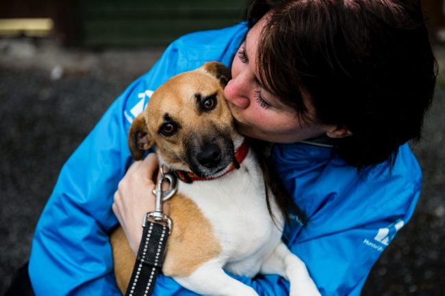 Hundis – kundcase_72dpi